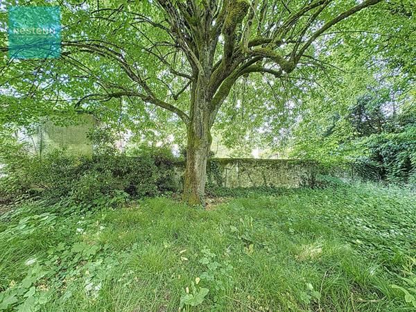 Propriété centre Amboise, 256m² habitables sur parc de 3700m².