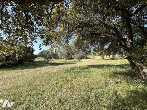 Propriété 3 habitations - hangars Terrain 3.8 Ha