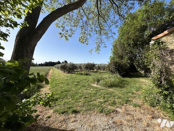 Propriété 3 habitations - hangars Terrain 3.8 Ha