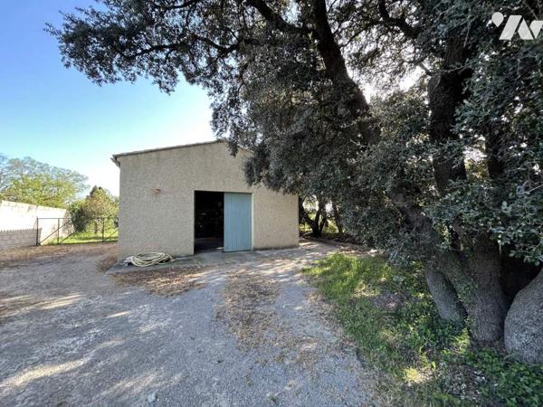 Propriété 3 habitations - hangars Terrain 3.8 Ha