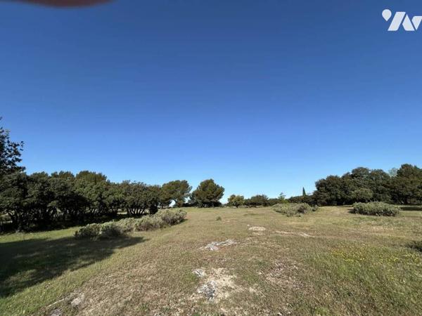 Propriété 3 habitations - hangars Terrain 3.8 Ha