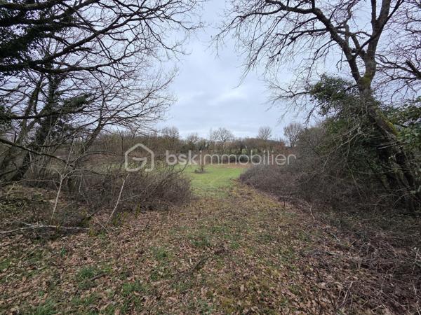 Terrain de 6 260 m²