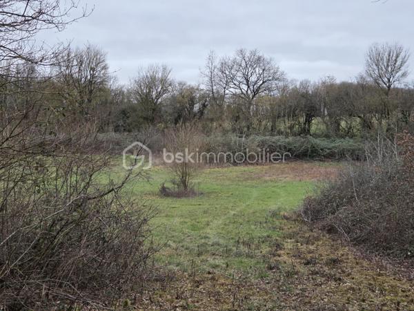 Terrain de 6 260 m²