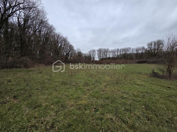 Terrain de 6 260 m²