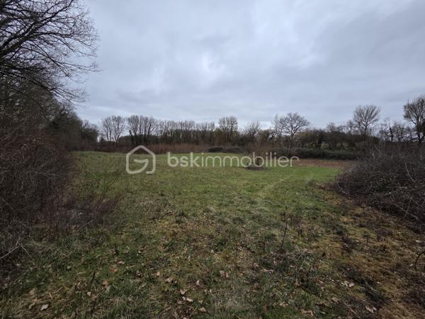 Terrain de 6 260 m²