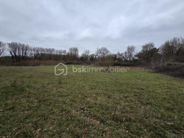 Terrain de 6 260 m²