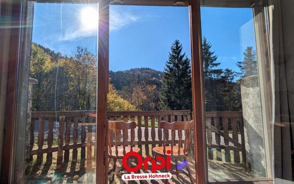 Maison à vendre    1 pièce •  Basse-sur-le-Rupt