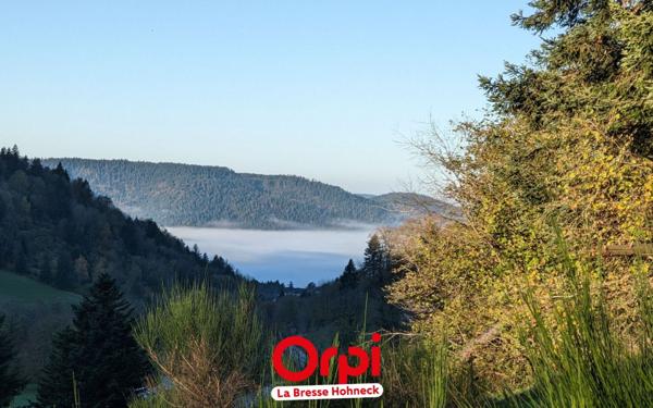 Maison à vendre    1 pièce •  Basse-sur-le-Rupt