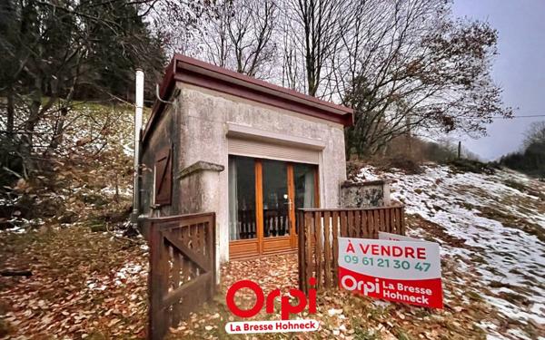 Maison à vendre    1 pièce •  Basse-sur-le-Rupt