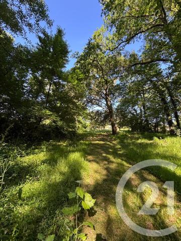 Maison à vendre  5 pièces - 137 m 2   BARSAC  - 33