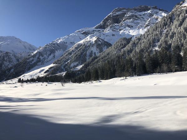 Chalet à vendre à Pralognan-la-Vanoise (73710) - Savoie