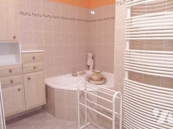 GRANDE MAISON DE CHARME ENTRE MONTRICHARD ET CONTRES