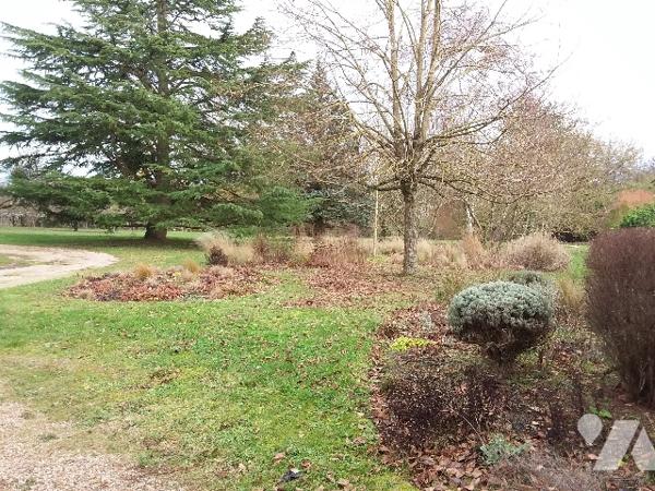 GRANDE MAISON DE CHARME ENTRE MONTRICHARD ET CONTRES