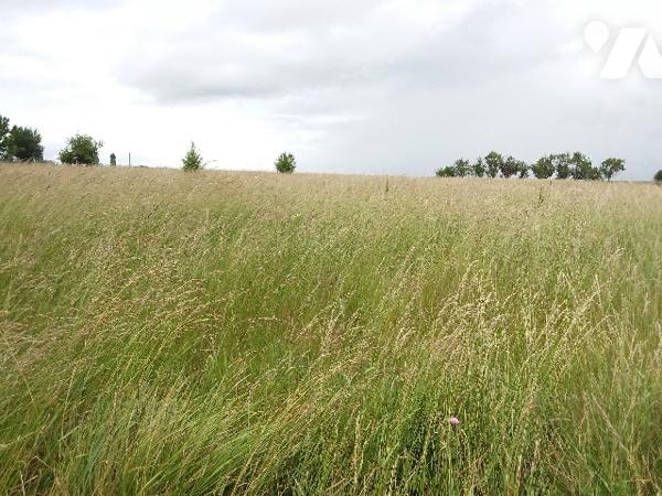 TERRAIN CONSTRUCTIBLE DE 1274 M², SECTEUR CAMPAGNE