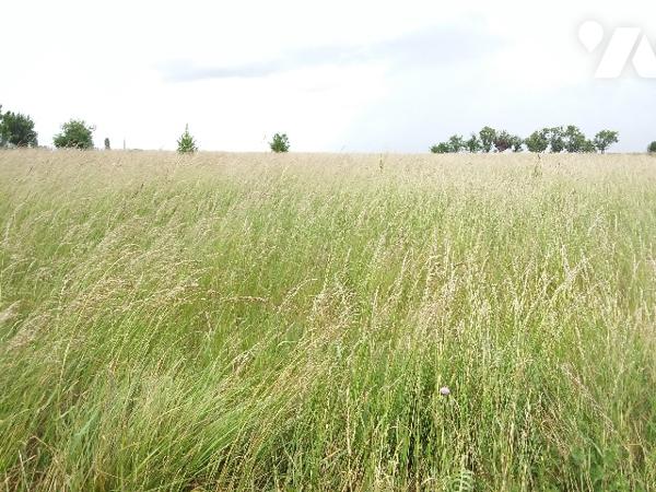 TERRAIN CONSTRUCTIBLE DE 1274 M², SECTEUR CAMPAGNE