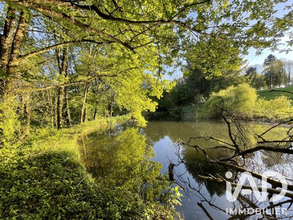 Terrain à vendre 54 604 m² Naves