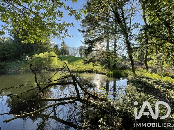 Terrain à vendre 54 604 m² Naves