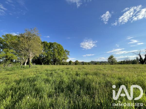 Terrain à vendre 54 604 m² Naves