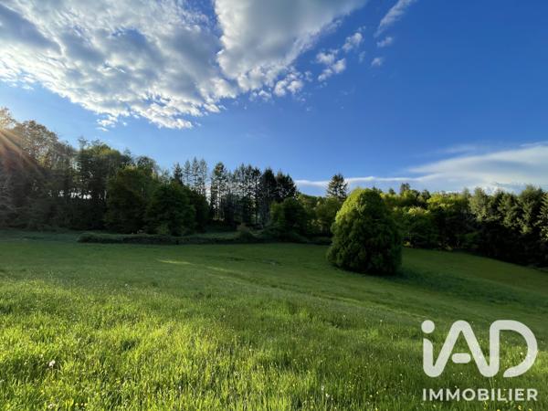 Terrain à vendre 54 604 m² Naves