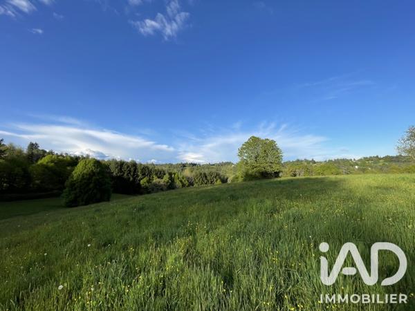 Terrain à vendre 54 604 m² Naves