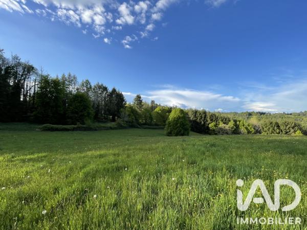 Terrain à vendre 54 604 m² Naves