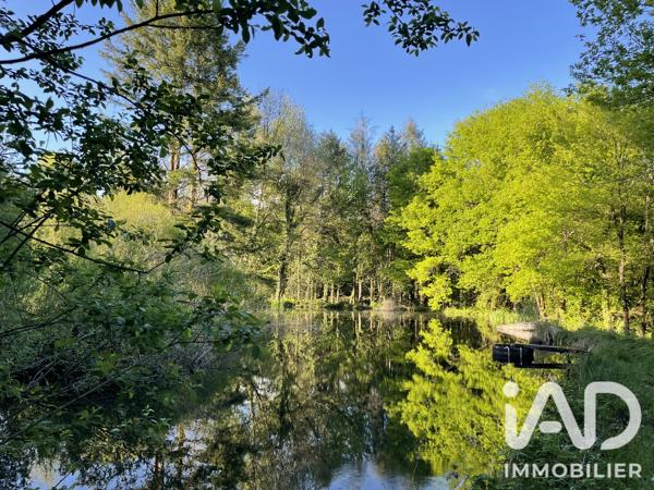Terrain à vendre 54 604 m² Naves