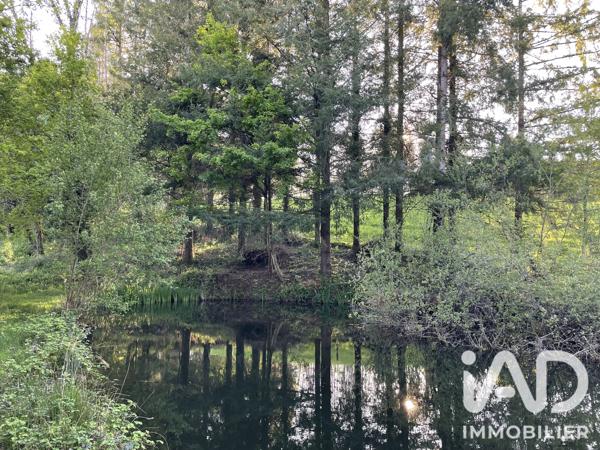 Terrain à vendre 54 604 m² Naves