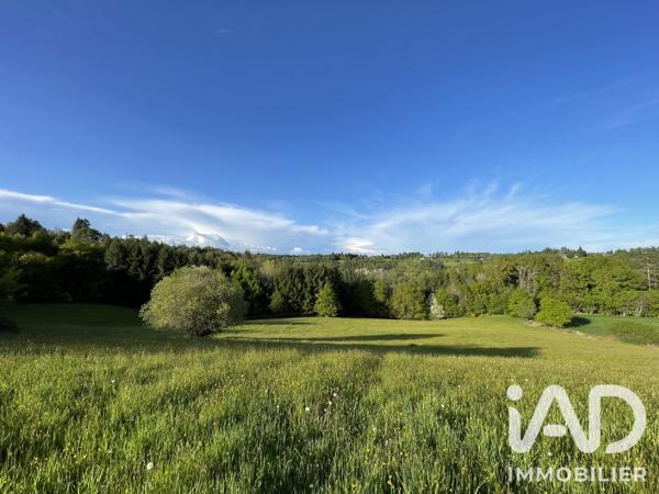 Terrain à vendre 54 604 m² Naves