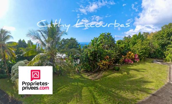 Propriété vue mer dans un parc de 4000M² - Bouillante