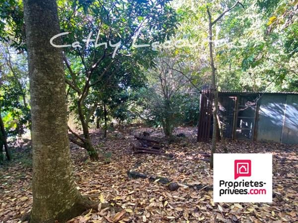 Propriété vue mer dans un parc de 4000M² - Bouillante