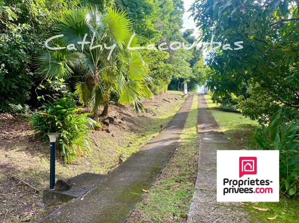 Propriété vue mer dans un parc de 4000M² - Bouillante