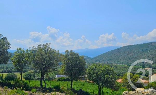 Appartement T2 à vendre  2 pièces - 51 m2 OLETTA - 202