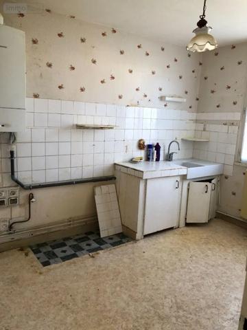 Achat - Maison Issoudun 36100 5 pièces 103 m 2 411 m 2