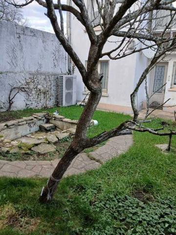 Maison à vendre 7 pièces (28)