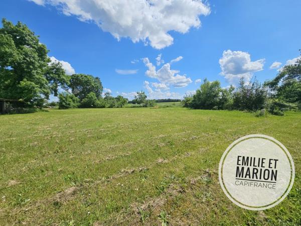 Terrain à vendre SAINT GEORGES DU BOIS (17) - Campagne- Libre de constructeur