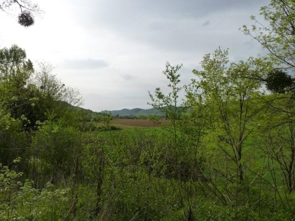Terrain à vendre de 170 000 m²