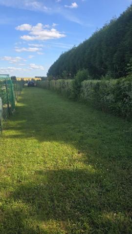 Terrain à NEULLIAC, 56300 - 1700m²