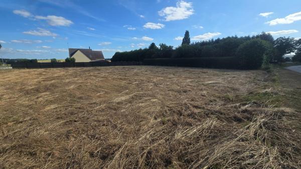 Terrain à NEULLIAC, 56300 - 1700m²