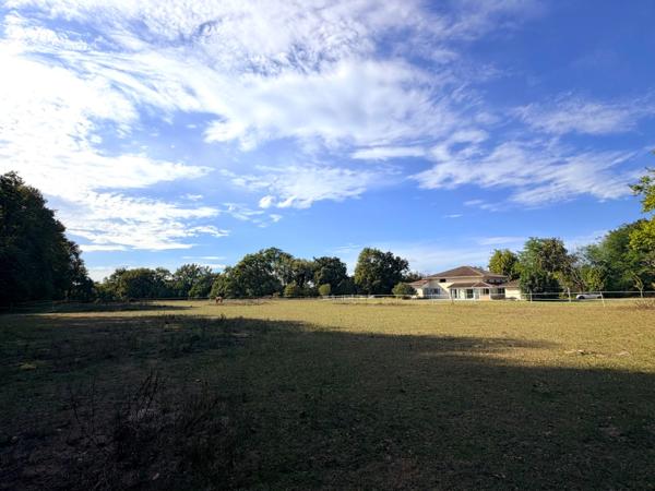 Grande maison de caractère totalement rénovée avec studio indépendant, grange et terrain idéal pour des chevaux à LAMOTHE