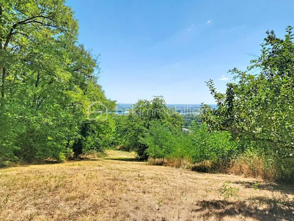Découvrez cette charmante maison à Miribel, conjuguant espace et confort. Nichée dans un cadre paisible tout en étant proche des commodités urbaines, cette propriété de 135m² vous promet une qualité de vie exceptionnelle.

Cette belle propriété située dans une impasse, a été construite en 1979 avec une vue PANORAMIQUE + un SOUS SOL COMPLET dont un STUDIO sur une parcelle de TERRAIN DE 2 700 m2 

Une grande entrée avec couloir desservant les différents espaces

une cuisine indépendante avec porte-fenêtre donnant un accès direct à une GRANDE TERRASSE

un Salon/Salle à manger avec sa cheminée avec 2 portes-fenêtres donnant sur la terrasse 

3 chambres avec parquet et placard mural

une salle de bain avec fenêtre et placard mural

un WC indépendant

Huisseries Bois : double vitrage , volets bois

Système de chauffage et production d'eau chaude : Chauffage central fioul + cheminée

SOUS SOL sur dalle brute avec fenêtres comprenant un GRAND GARAGE et un STUDIO carrelé (entrée indépendante), avec cuisine ouverte équipée, douche à l'italienne et 3 baies vitrées aluminium avec volets roulants électriques PVC donnant sur le terrain, idéal pour un ADO ou pour LOUER

N'hésitez pas à me contacter pour la VISITER !

Les informations sur les risques auxquels ce bien est exposé sont disponibles sur le site Géorisques: