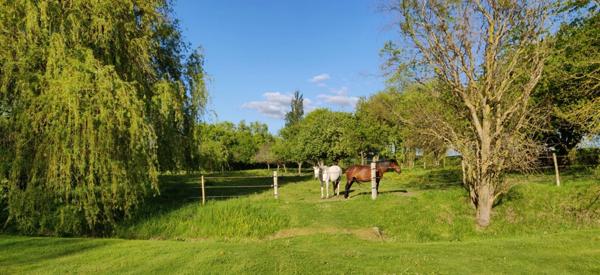 Dept de la Vienne (86) Propriété à vendre 7 pièces terrain 2 hectares SENILLE (86100)