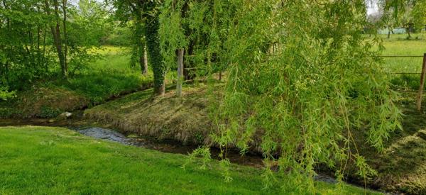 Dept de la Vienne (86) Propriété à vendre 7 pièces terrain 2 hectares SENILLE (86100)