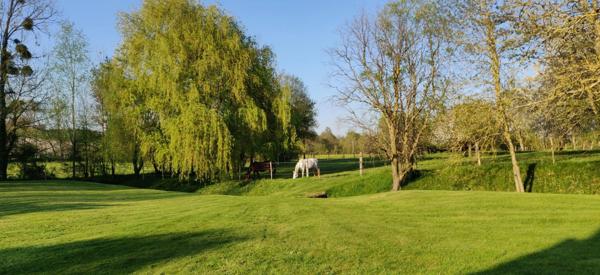 Dept de la Vienne (86) Propriété à vendre 7 pièces terrain 2 hectares SENILLE (86100)