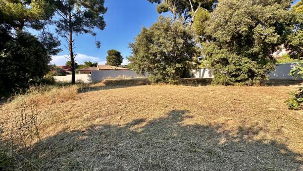 LE BRUSC - 10 MINUTES A PIED DE LA PLAGE DU CROS - TERRAIN  1052 m2