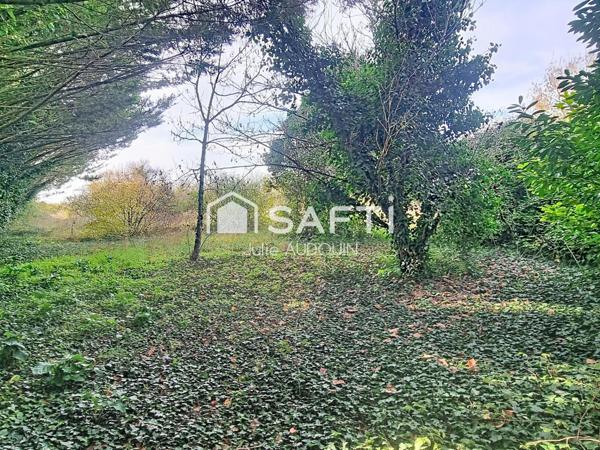 Pavillon de 119 m² sur grand terrain de 3 718 m²