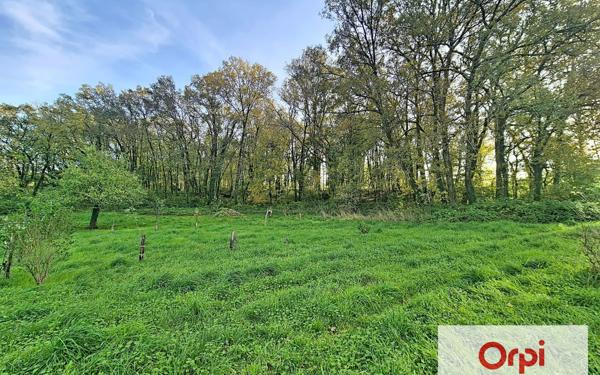 Maison à vendre    5 pièces •  La Dornac