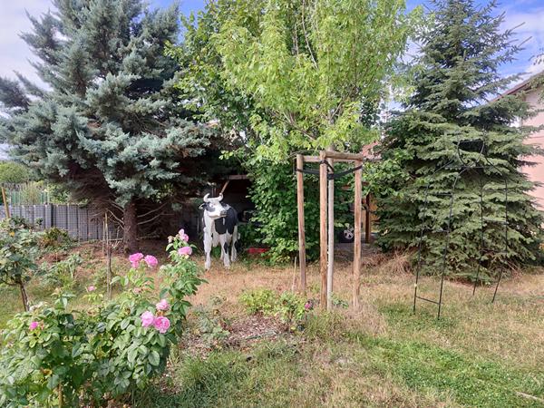 Maison - 9 pièces - 200 m²