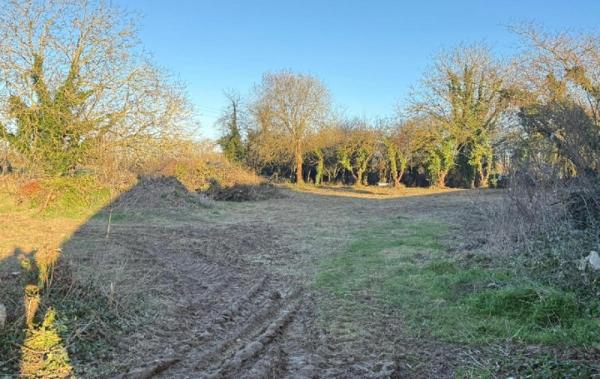 Vente Terrain Champigny   