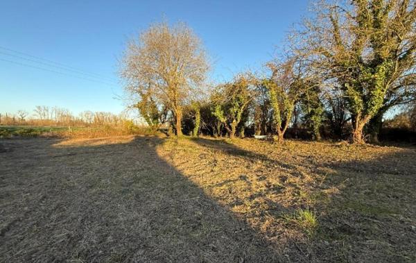 Vente Terrain Champigny   