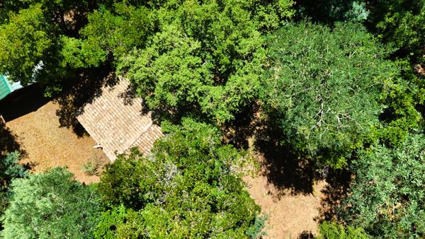 L'HERBE : TERRAIN CONSTRUCTIBLE 2 593 m²